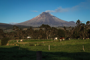 view of smoking Cotopaxi volcano from countryside 