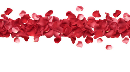 red rose petals isolated on transparent background