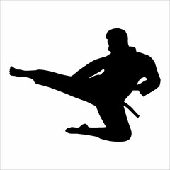 Martial arts silhouette