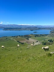 Roys Peak Track in Wanaka, South Island of New Zealand	