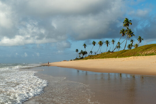 toller Strand mit Palmen und Meer in Brasilien 