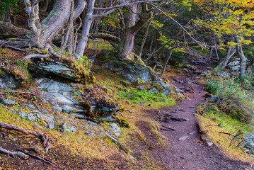 Bahia Ensenada Zaratiegui, Tierra del Fuego National Park, Patagonia, Argentina