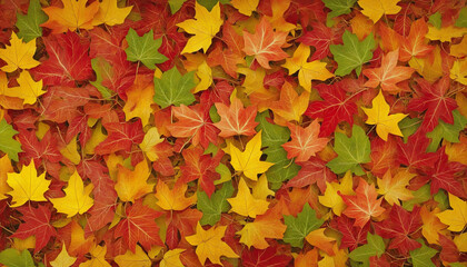 Naklejka na ściany i meble autumn leaves background 3d leaves colorful background 