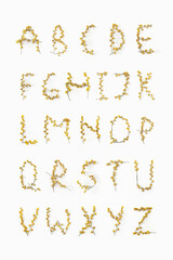 Flower letters. Alphabet made from flowers mimosa yellow. Minimalism. Flower alphabet layout. Flat lay