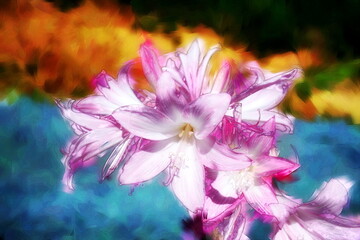 Photo painting, illustrated photo with oil painting effect. belladonna flower,