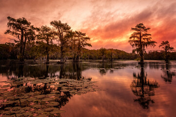 The beauty of the Caddo Lake with trees and their reflections at sunrise - 762145860