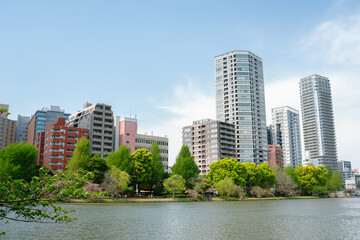 Fototapeta na wymiar Ueno Park Shinobazu Pond and skyscraper at spring in Tokyo, Japan