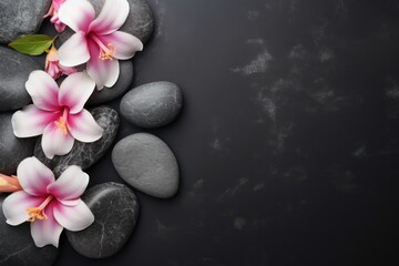 Spa concept with pebbles and vibrant flowers on black background. Copyspace