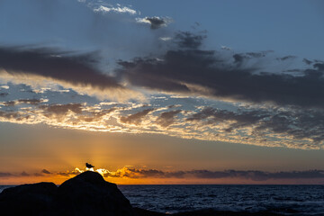 Tranquil sunset over the ocean  - obrazy, fototapety, plakaty