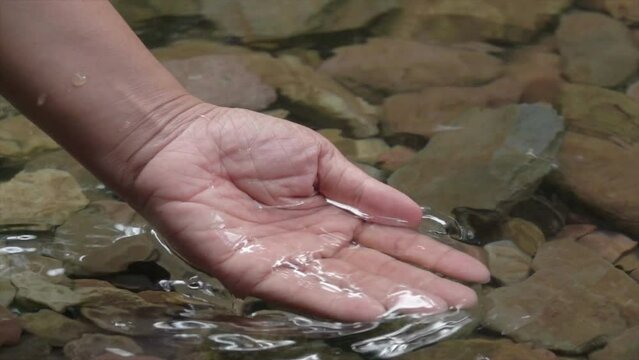 Close up hands of hiker traveler collects in palm of hand Female hands scoop up clear water from stream to drink or wash. drinking river, Freshness,