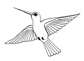 Black and white contour of a bird for a coloring book. A flying hummingbird with outstretched wings and a long beak. Illustration for World Migratory Bird Day. Cute tattoo or print for Happy Earth Day