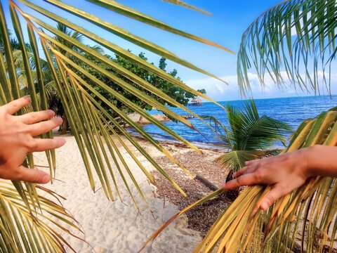 Framed Paradise: Explorers Discovery on Tropical Beach, View Through Palm Leaves in Belize &ndash; Vacation Getaway