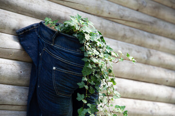 Upcycling and recycling concept - old jeans are now used as planting pots - 762162810