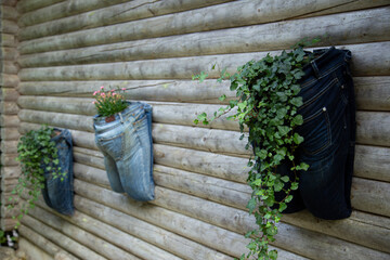 Upcycling and recycling concept - old jeans are now used as planting pots - 762162821
