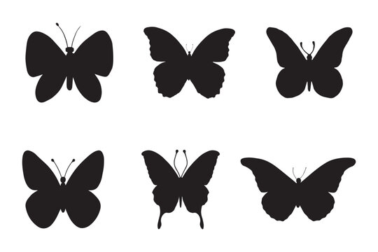 Butterfly vector set on a white background.