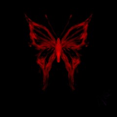 red butterfly on black background