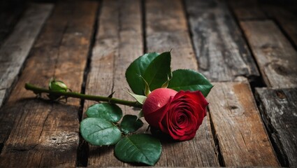 red rose on wooden background | closeup of red roses