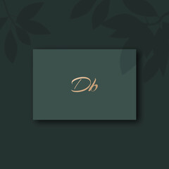 Db logo design vector image