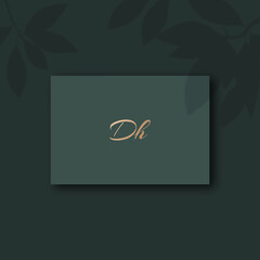 Dh logo design vector image