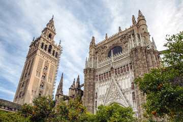 Fototapeta na wymiar Seville Cathedral, Seville, Spain