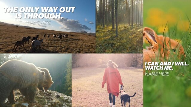 Modern Quotes Multi Image Intro Opener