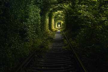 Green tunnel of trees growing above the railway. Light at the end of a tunnel made of tree branches.