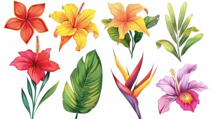 Set of tropical flowers in modern format on a white background.