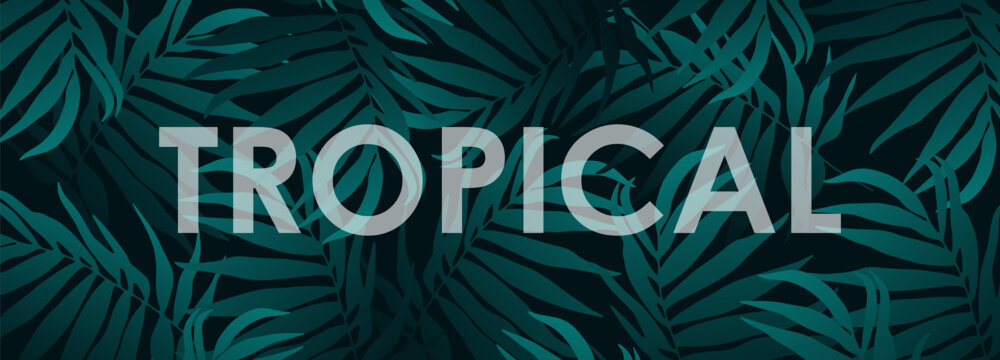 Dark green tropical design with palm branches. Tropical vector background, wallpaper, cover, poster, banner