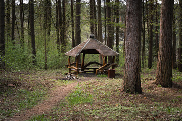 Wooden gazebo in the forest in Lithuania in spring.