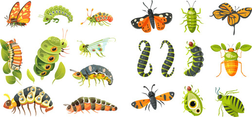  Insects wildlife transformation