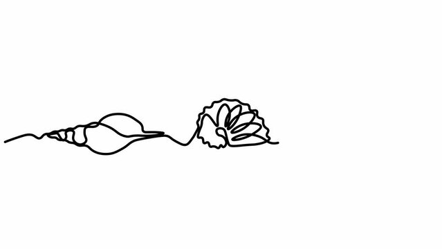 Self drawing animation with one continuous line draw,a set of different shells,seashells