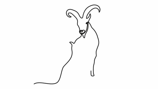 Self drawing animation with one continuous line draw, abstract mountain sheep, argali 
