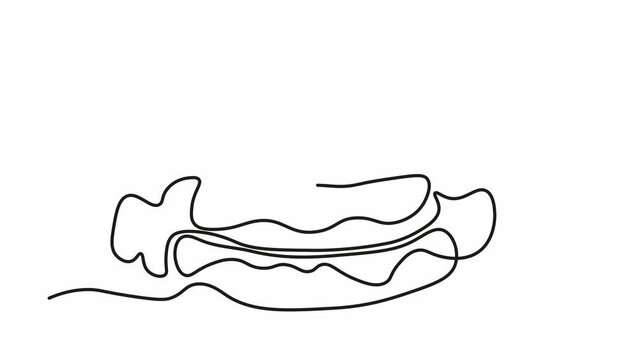 Self drawing animation with one continuous line draw, Cheeseburger, Hamburger 