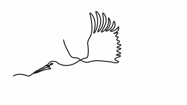 Self drawing animation with one continuous line draw, abstract Flying Stork