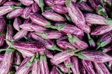 Eggplant aubergine pink striped variety, guinea squash heap top view