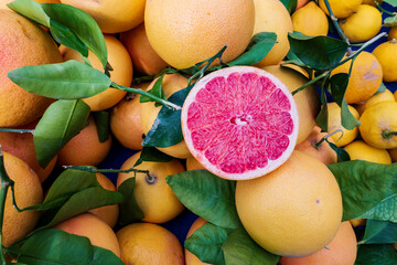 Cut pink grapefruit fresh citrus fruit on orange grapefruits pile with green leaves at farmers...