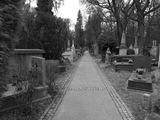 Kraków centrum  Cmentarza Rakowicki