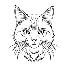 Line drawing of a cute cat.