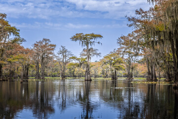 The beauty of the Caddo Lake with trees and their reflections at sunrise
