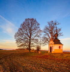 cascades, torrents, water, stream, stones, trees, forest, landscape, nature