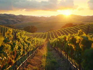 Foto op Plexiglas Vineyard Idyll: Rolling Hills and Rows of Vines - Rustic Wineries Await - Sunset Glow - Transport yourself to countryside vineyards with rolling hills, neat rows of vines, and rustic wineries awaiting © Cool Patterns