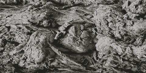 Tree bark. Rough tree bark texture. Vector illustration