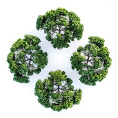 Trees Top View On White Background, Illustrations Images