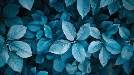 blue leaves background