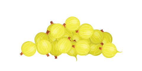 Gooseberry heap isolated on white. Vector cartoon flat illustration of fresh ripe berry.