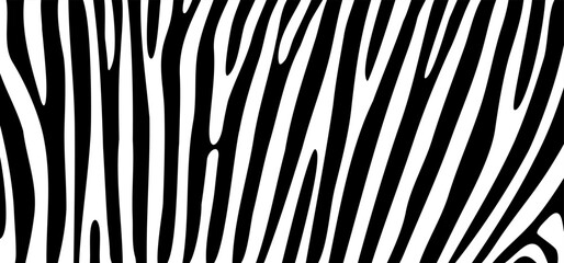 Cartoon black and white safari zebra, line pattern. Zebra print, animal skin, tiger stripes sign. Africa, animal texture wave. jungle patroon.