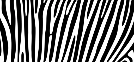 Fototapeten Cartoon black and white safari zebra, line pattern. Zebra print, animal skin, tiger stripes sign. Africa, animal texture wave. jungle patroon. © MarkRademaker