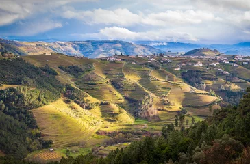 Fototapeten The Douro valley with the vineyards of the terraced fields, Portugal © Willy Mobilo