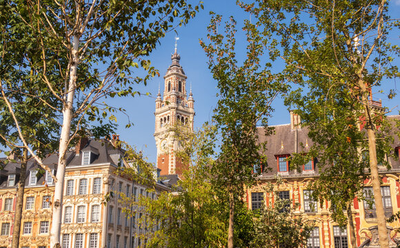 Grand Place in the city of Lille and its belfry