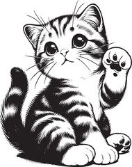 Black and White Cute Cat Vector Illustration